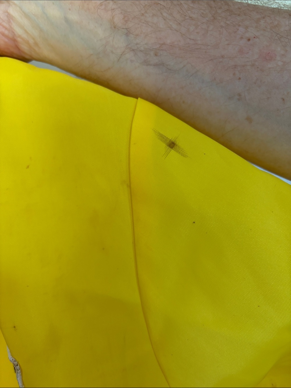 Yellow Racing-Stripe Windbreaker Jacket - Picture 6 of 10